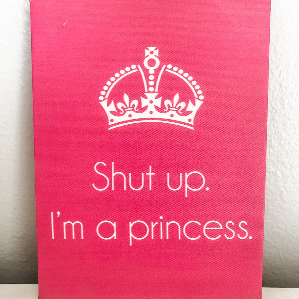 Pink princess canvas